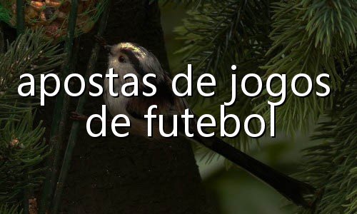tutorial de como jogar poker