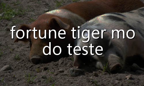 melhor mao poker