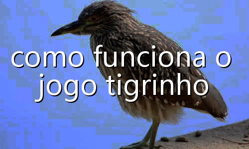 novas casas de aposta 2026