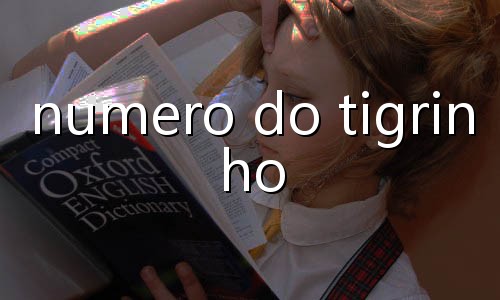 bt tigrinho