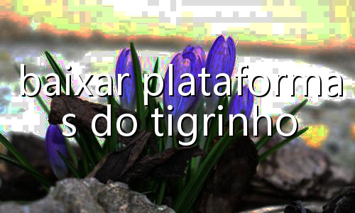 como funciona fortune rabbit